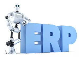 紹興工廠管理培訓(xùn)課程 解讀企業(yè)實(shí)施ERP的難點(diǎn)與應(yīng)對之道